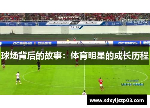 球场背后的故事：体育明星的成长历程